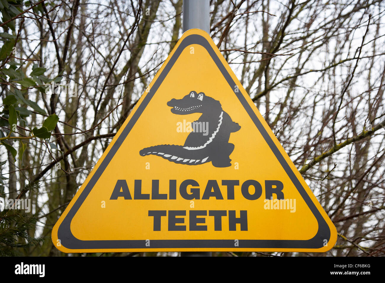 Ein Krokodil Zähne Zeichen im Bad. Stockfoto