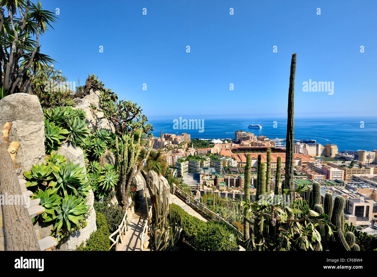 Exotische Gärten, Monaco, Frankreich. Stockfoto