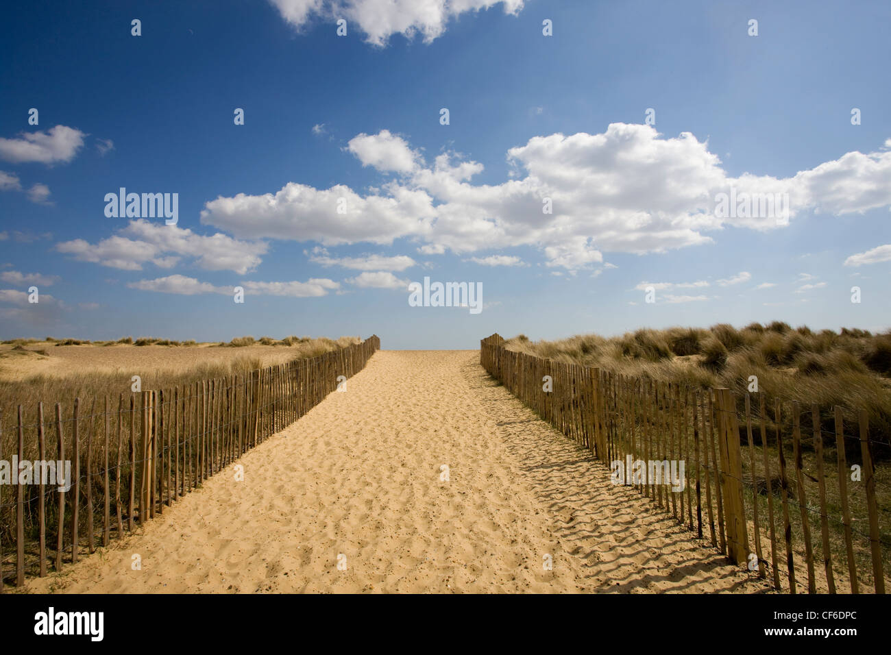 Sandy Weg über die Dünen zum Strand Walberswick. Stockfoto