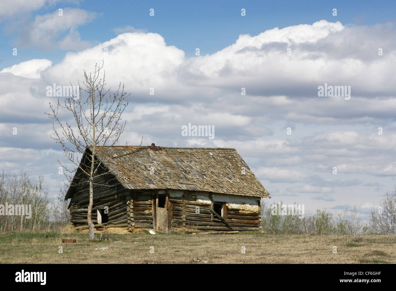 ALTE GEBÄUDE.  Alte verlassene Blockhaus Stockfoto