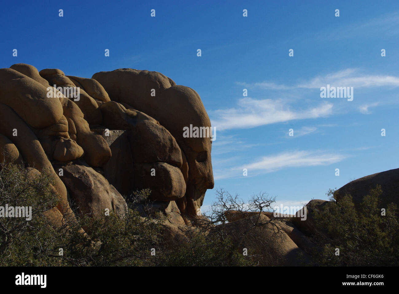 Gesicht Rock in Joshua Tree Nationalpark, Kalifornien Stockfoto