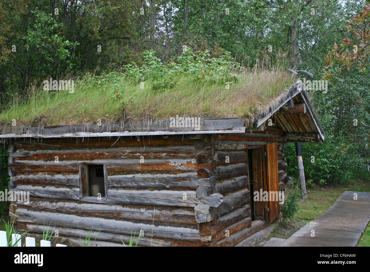 Jack Londons historische Haus, Dawson City, Yukon, Kanada.  Blockhaus mit Sod und Rasen Dach Stockfoto