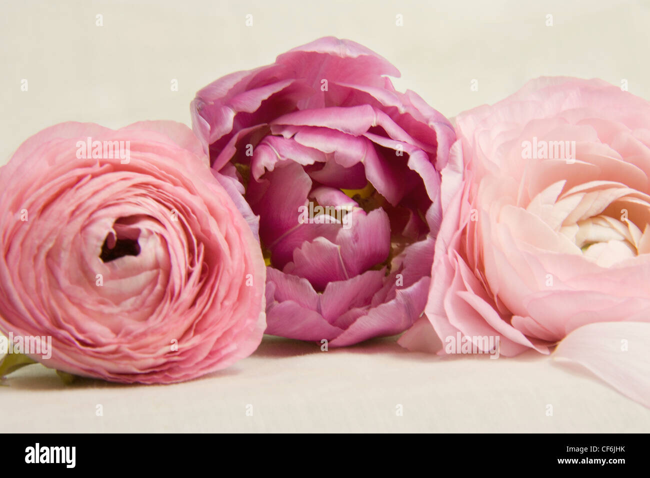 Vintage Blumen Stockfoto