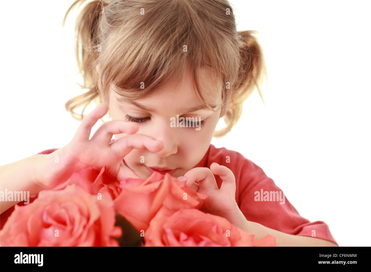 Mädchen aufmerksam untersucht und berührt Blütenblätter der rose Stockfoto
