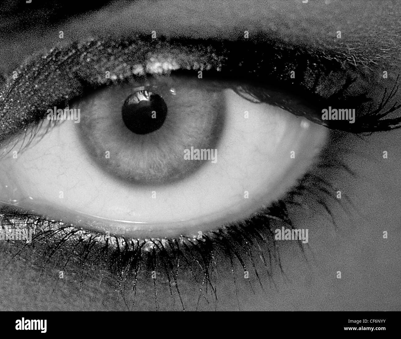Auge, Weiblich, close-up, dramatisch, schwarz und weiß horizontale Foto Stockfoto