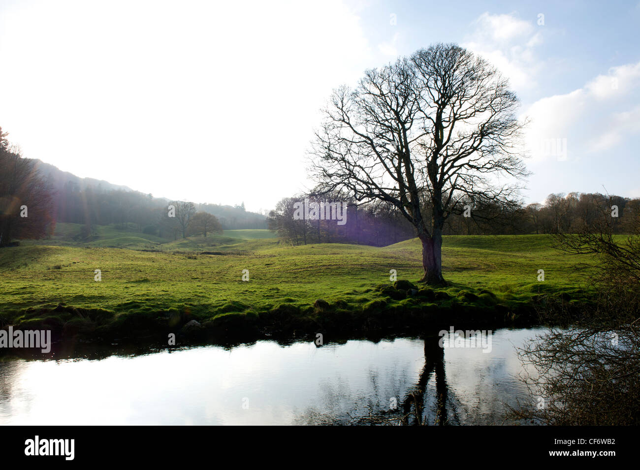Fluß Brathay, Lake District, Cumbria, UK Stockfoto