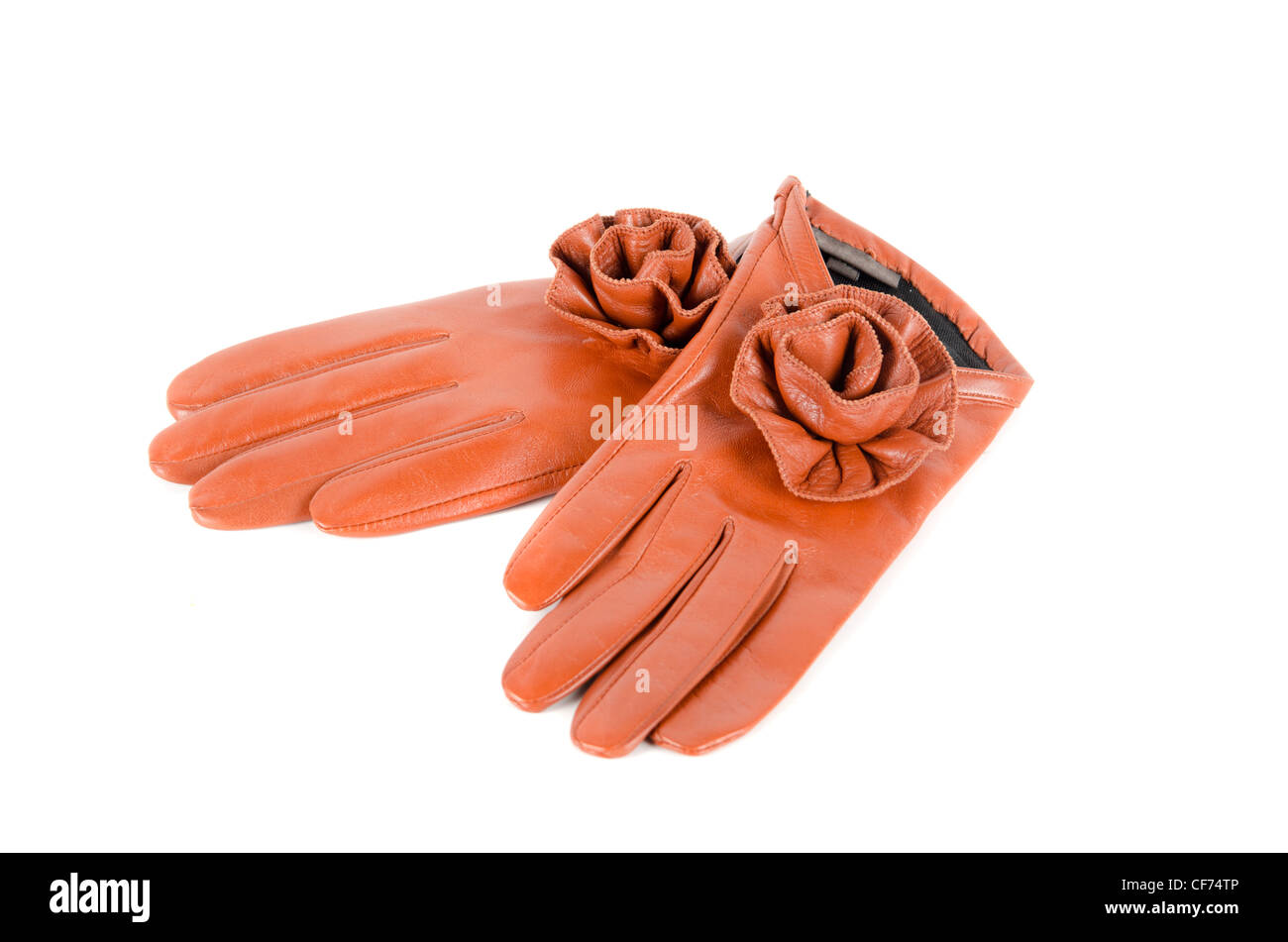 Moderne weibliche Leder rot stieg isoliert auf einem weißen Handschuhe Stockfoto