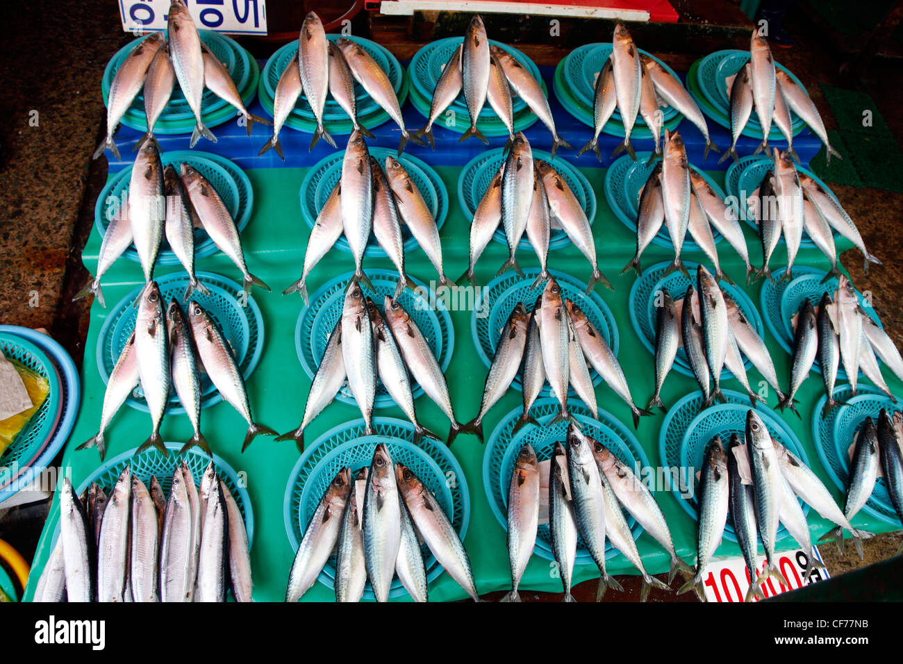 Fischen Sie auf dem Display in Jagalchi Fischmarkt in Busan, Südkorea Stockfoto