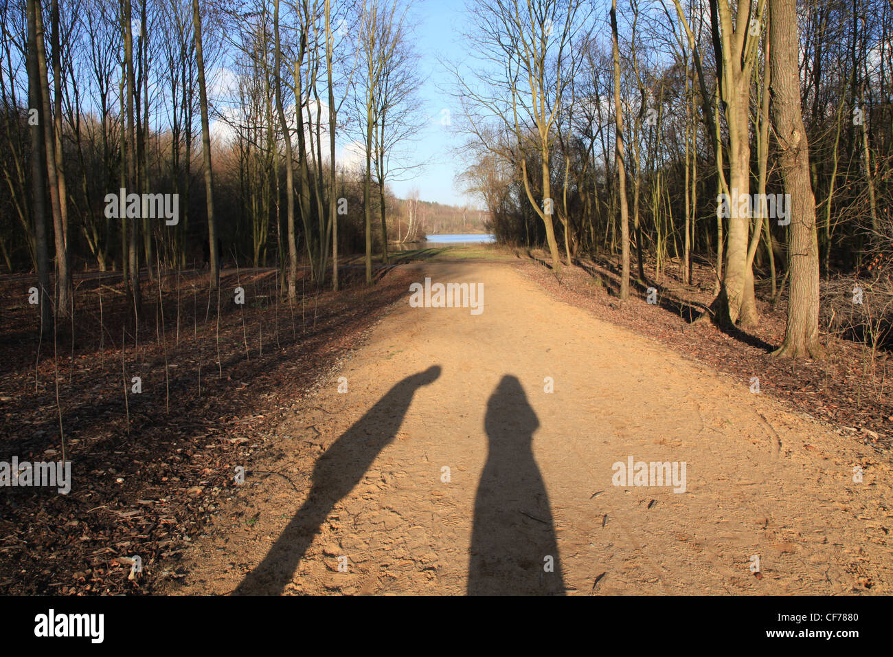 Unsere Schatten in der Wintersonne, Unsere Schatten in der Wintersonne Stockfoto