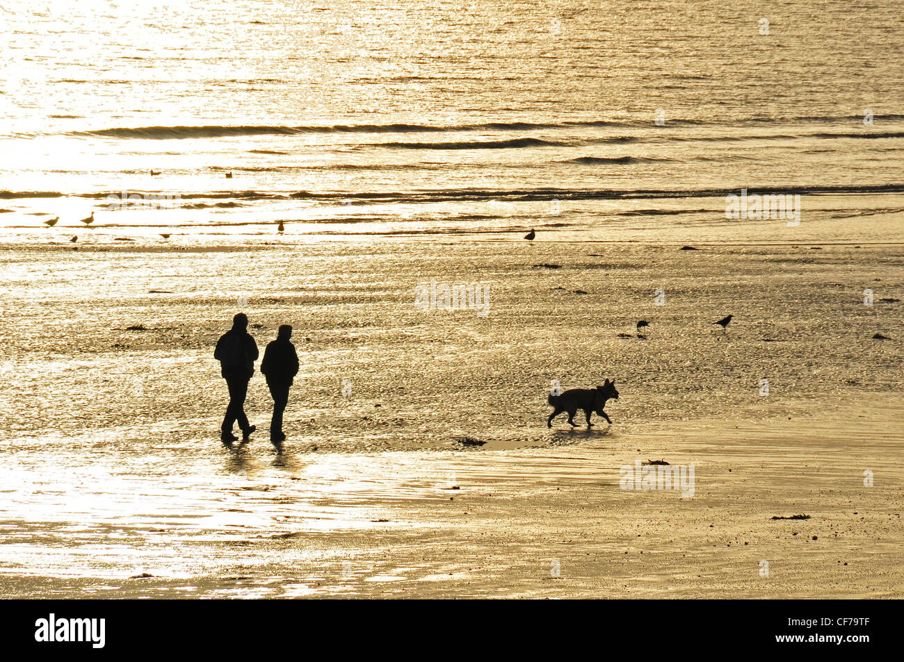 Worthing Strand Stockfoto