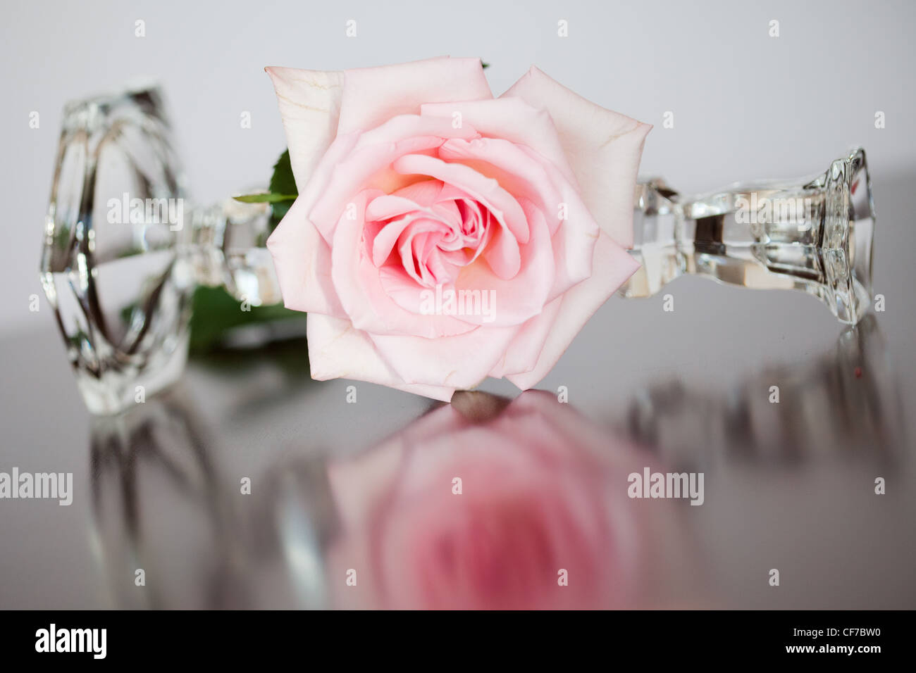 Rosa Rose mit Kristall Kerzenständer auf reflektierende Oberfläche Stockfoto