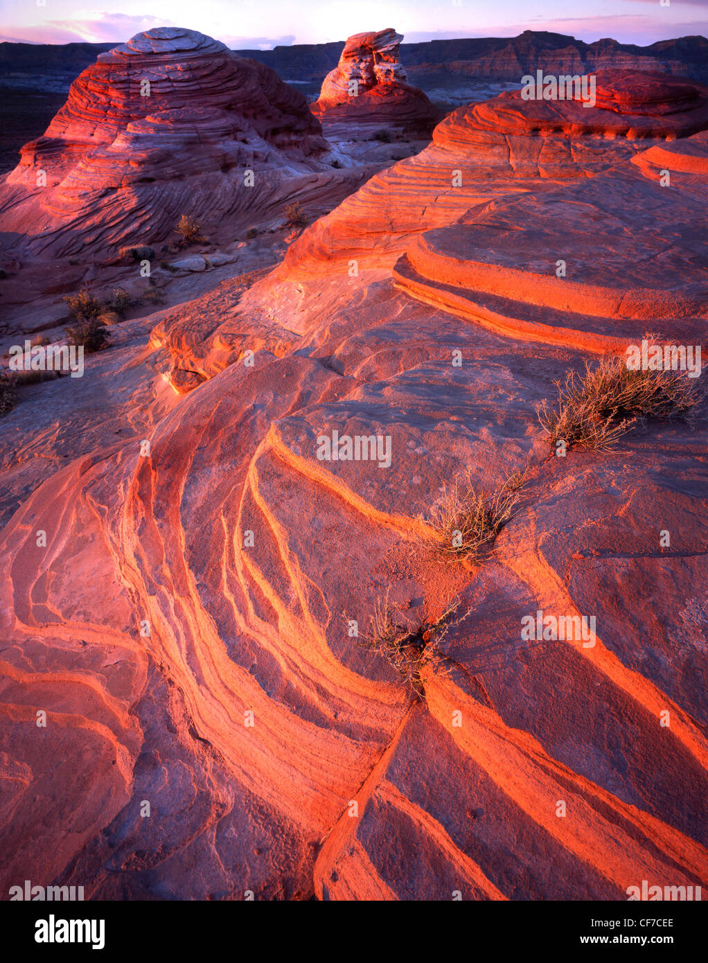 Sandstein leuchtet bei Sonnenuntergang am Rastplatz entlang HWY 89 in der Nähe von Big Water, Utah. Teil des Grand Staircase Escalante National Monument. Stockfoto