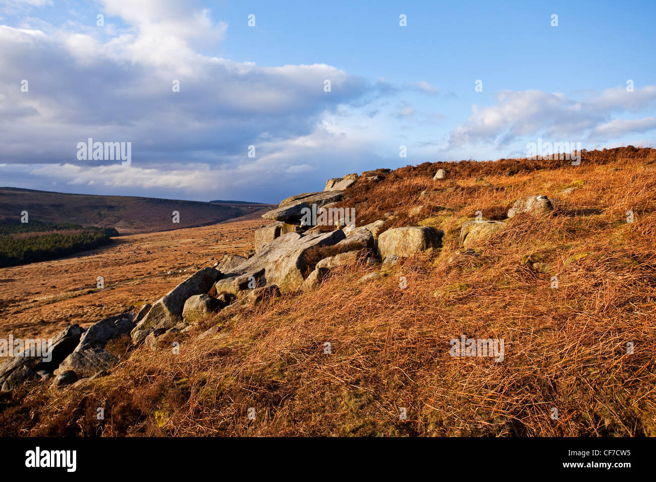 Eine Landschaftsansicht Burbage Felsen Sheffield South Yorkshire UK Stockfoto