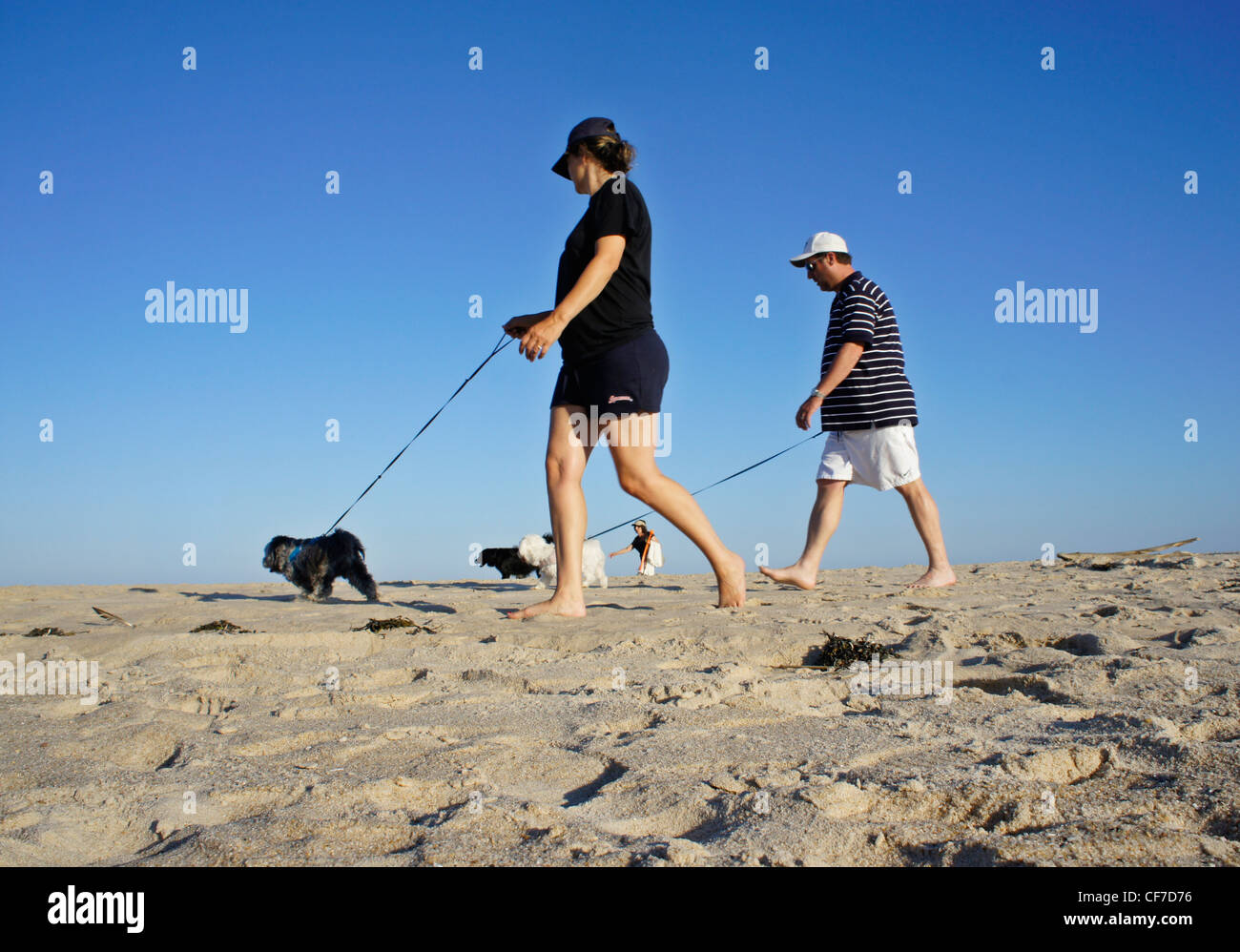 Spaziergang mit Hund am Strand in Bridgehampton, New York Stockfoto