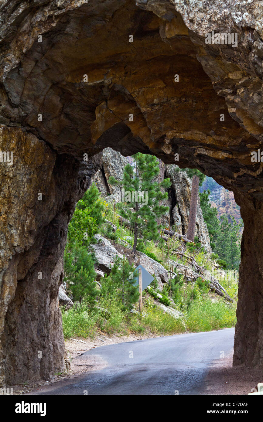 American Black Hills National Forest Tunnel Custer State Park South Dakota in den USA US Iron Mountain Road Vorderansicht Niemand vertikale Hochauflösung Stockfoto