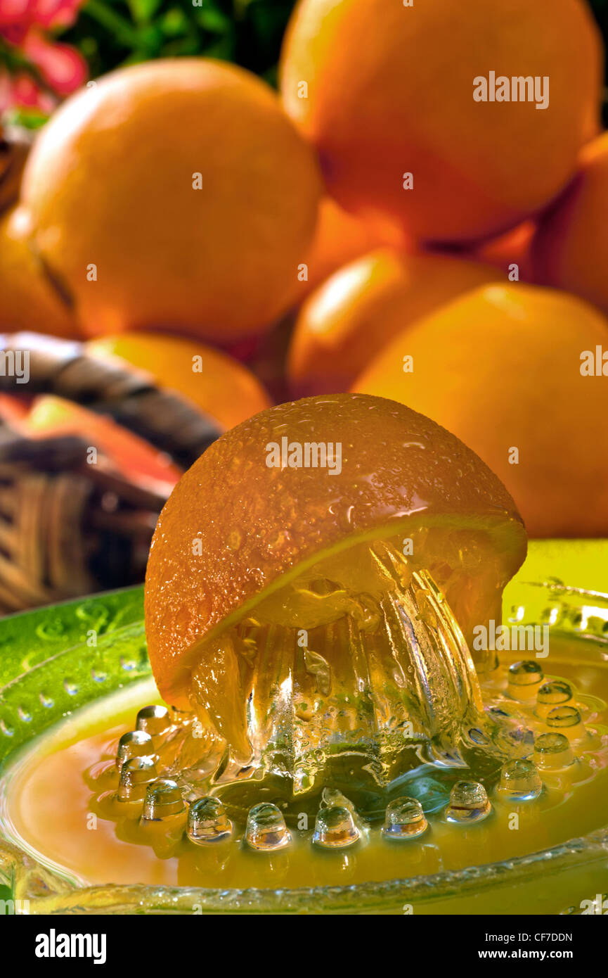 Orange Entsafter mit frisch gepressten Saft und Korb mit Orangen in sonnigen Gartenterrasse im freien Fall Stockfoto