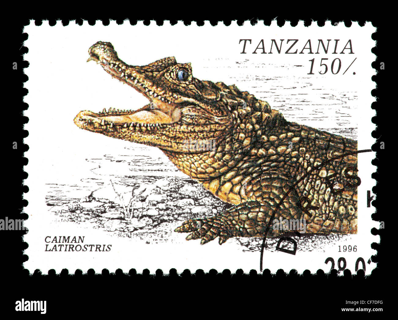Briefmarke aus Tansania Darstellung ein breit-snouted Kaiman (Caiman Latirostris) Stockfoto