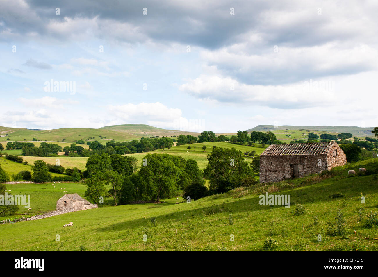 Wohnstrukturen in landwirtschaftlichen Anbauflächen, Yorkshire Dales Region in Nord-England, Großbritannien, Europa Stockfoto