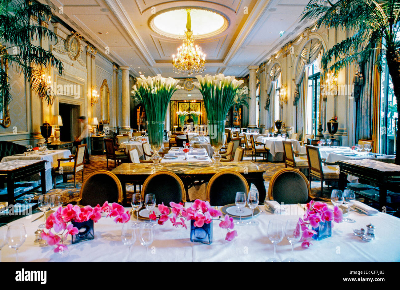 Frankreich, Paris, elegantes französisches Restaurant Le V (Le Cinq) Haute-Cuisine, Inneneinrichtung, Hotel Four Seasons, George V, europäisches Restaurant, französische Gastronomie: Trendige Einrichtung im Restaurant Stockfoto