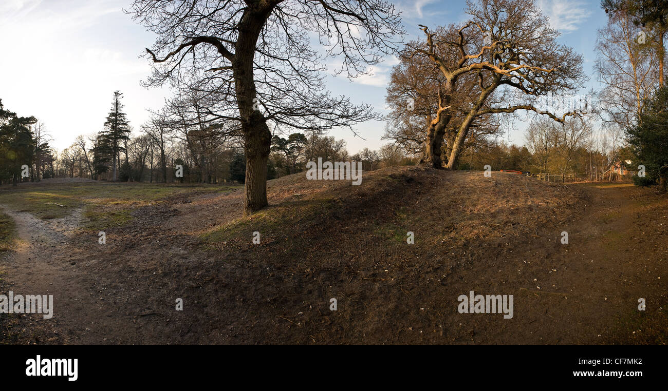 Bronzezeit runden Grabhügel, durchschnitten von Grenze Marker des Herrn Stück in der Nähe von Coates, West Sussex, UK Stockfoto