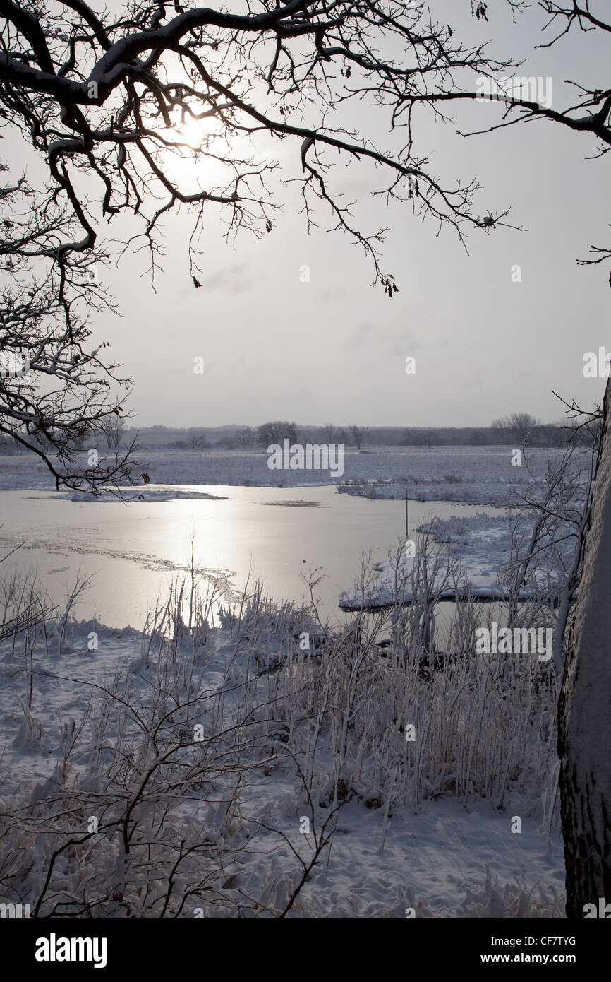 Nygren Feuchtgebiete außerhalb Rockton, Illinois im Winterschnee bedeckt Stockfoto