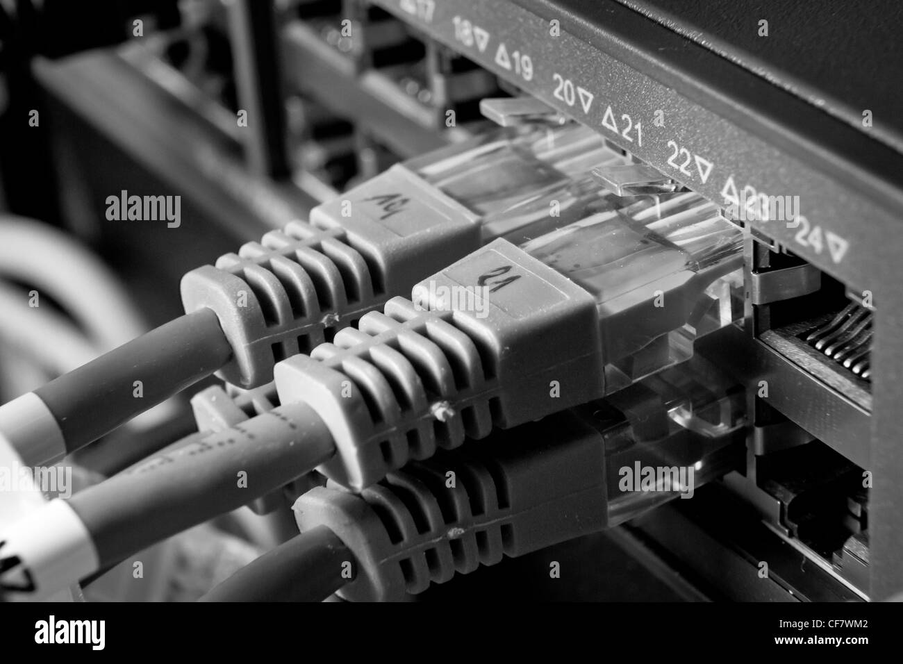 Netzwerk-Kabel an den Hub angeschlossen Stockfoto