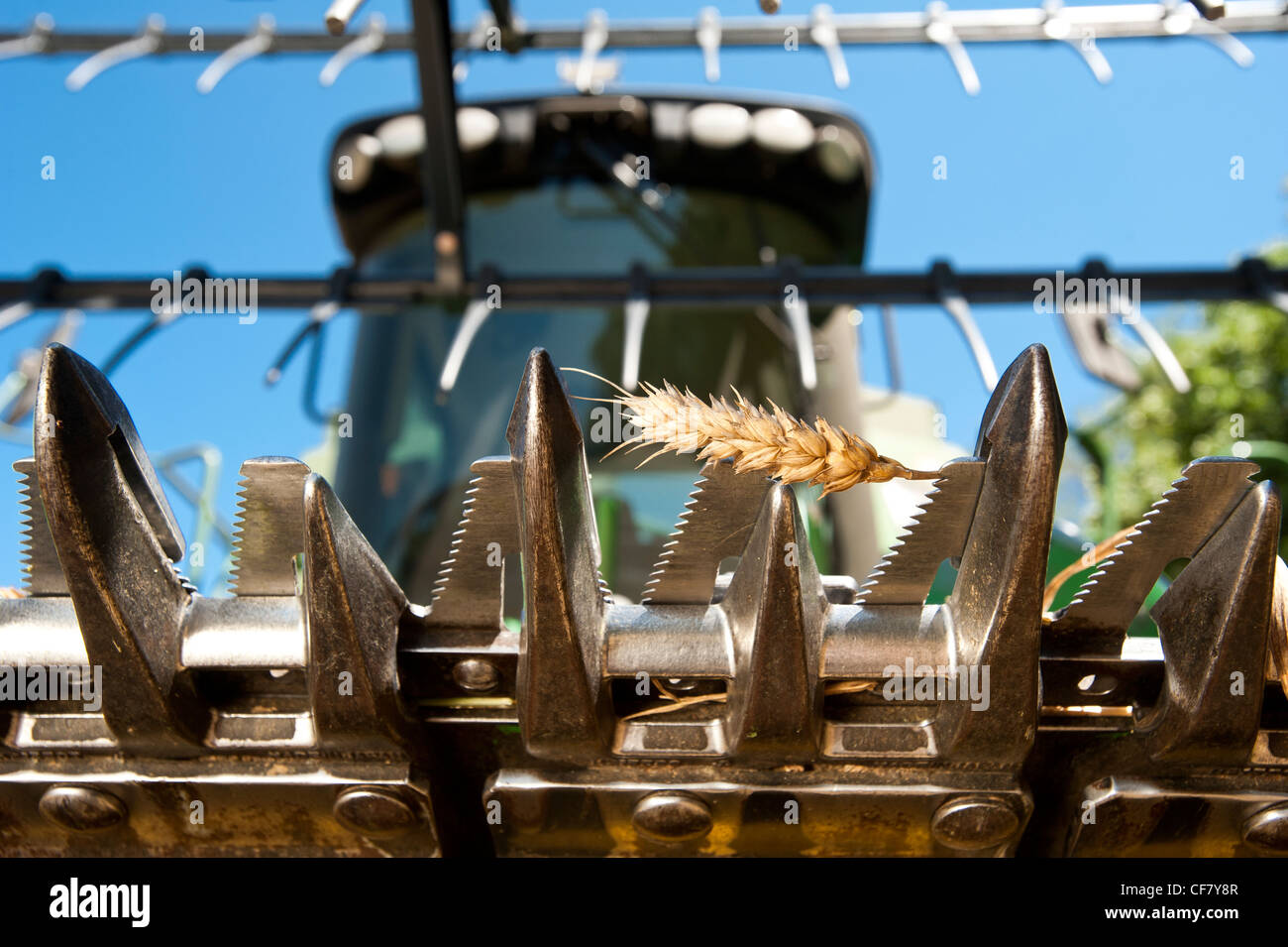 Mähdrescher zur Ernte von Getreide Stockfoto