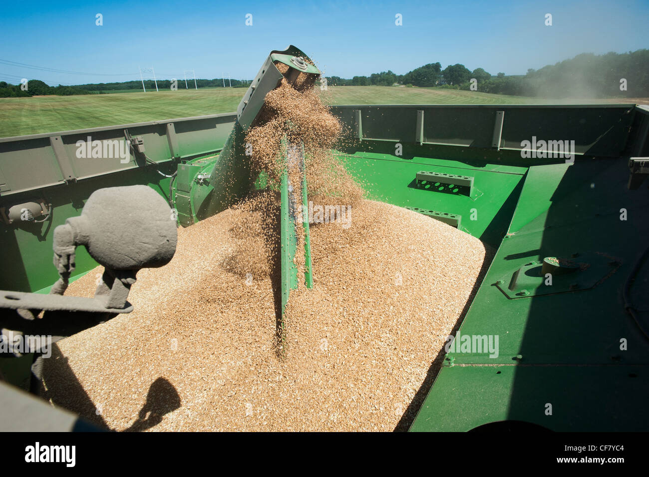 Kombinieren Sie Getreide ernten Stockfoto