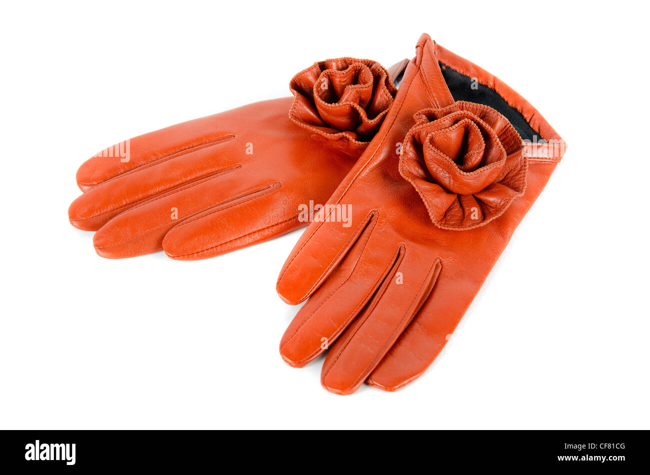 Moderne weibliche Leder rot stieg isoliert auf einem weißen Handschuhe Stockfoto