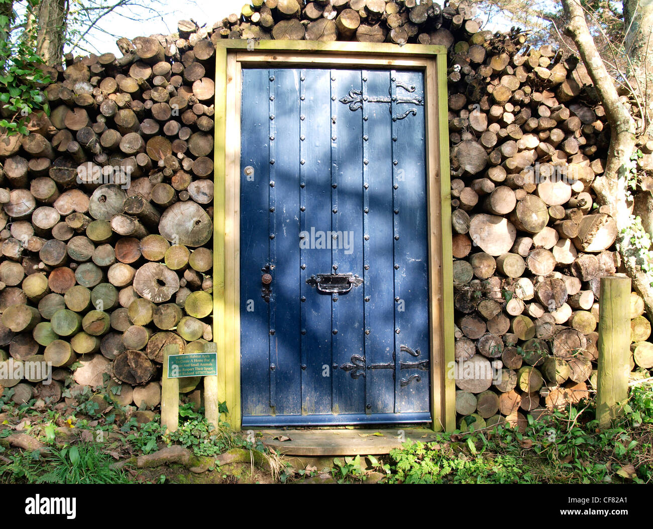 Wildes Leben Lebensraum Mauer um eine Tür, schaffen ein Zuhause für kleine Tiere und Insekten, Stratton, Bude, Cornwall, UK Stockfoto
