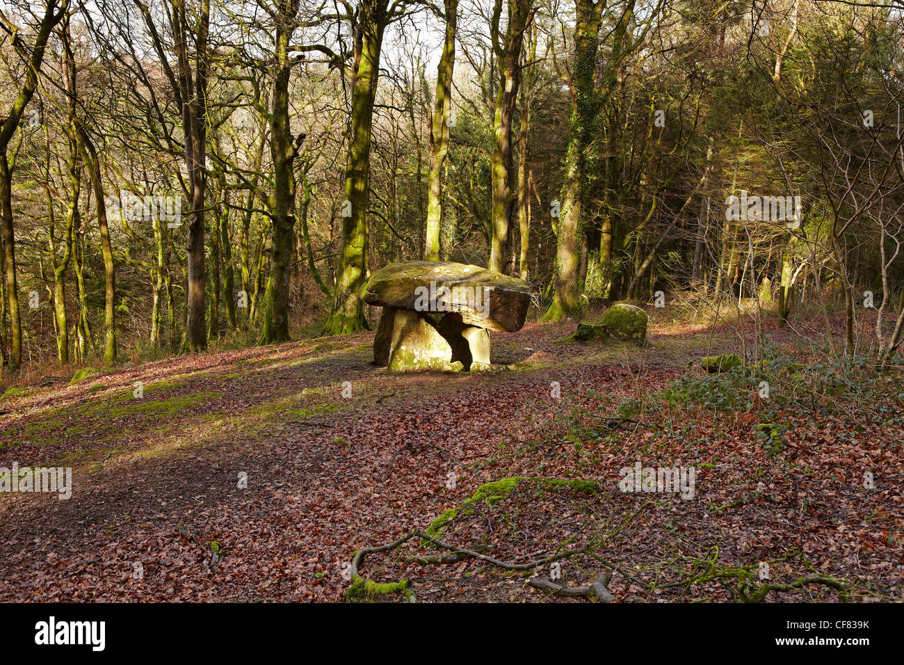 Gwal y Filiast neolithische Grab, Carmarthenshire, West Wales, UK Stockfoto