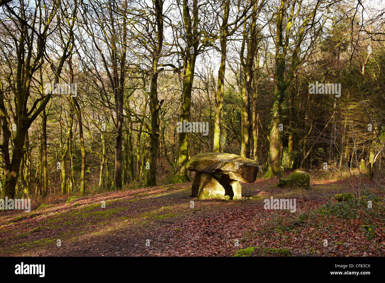 Gwal y Filiast neolithische Grab, Carmarthenshire, West Wales, UK Stockfoto