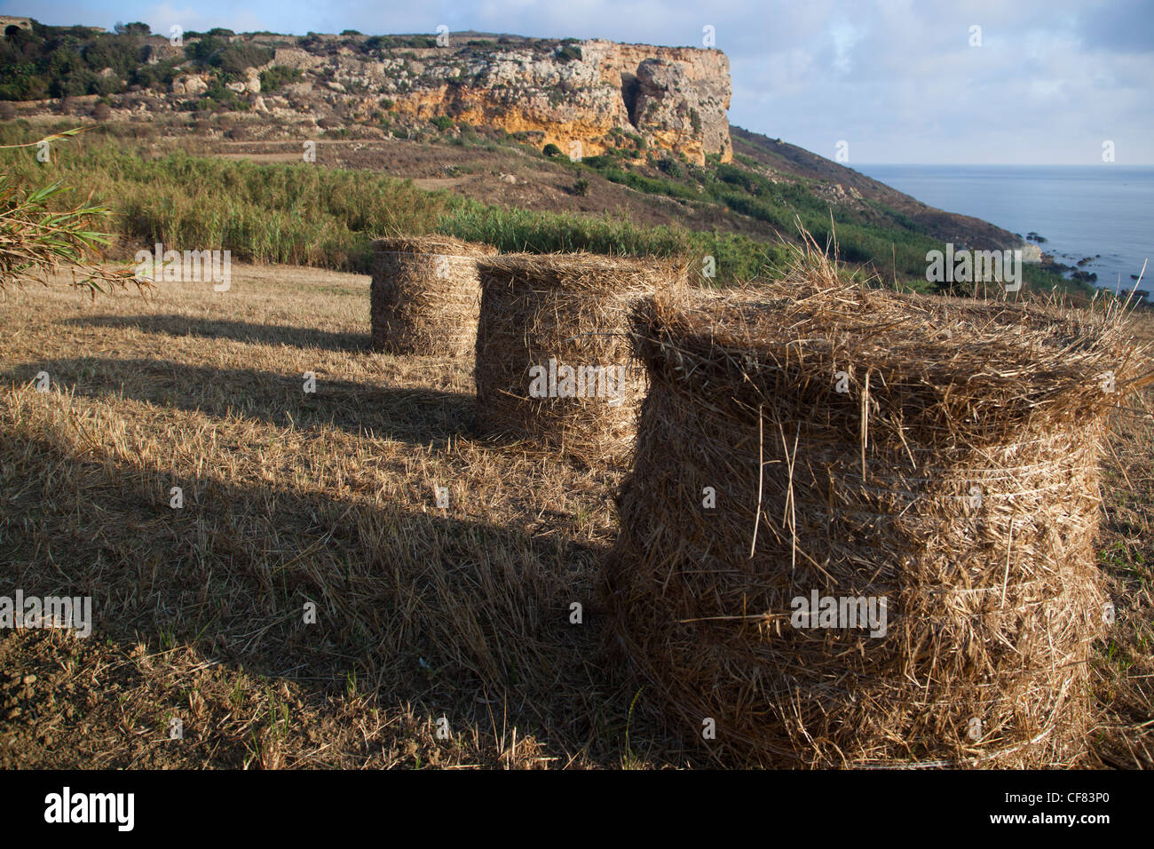 Strohballen auf einem Feld am Ghajn Barrani in Gozo in Malta. Stockfoto