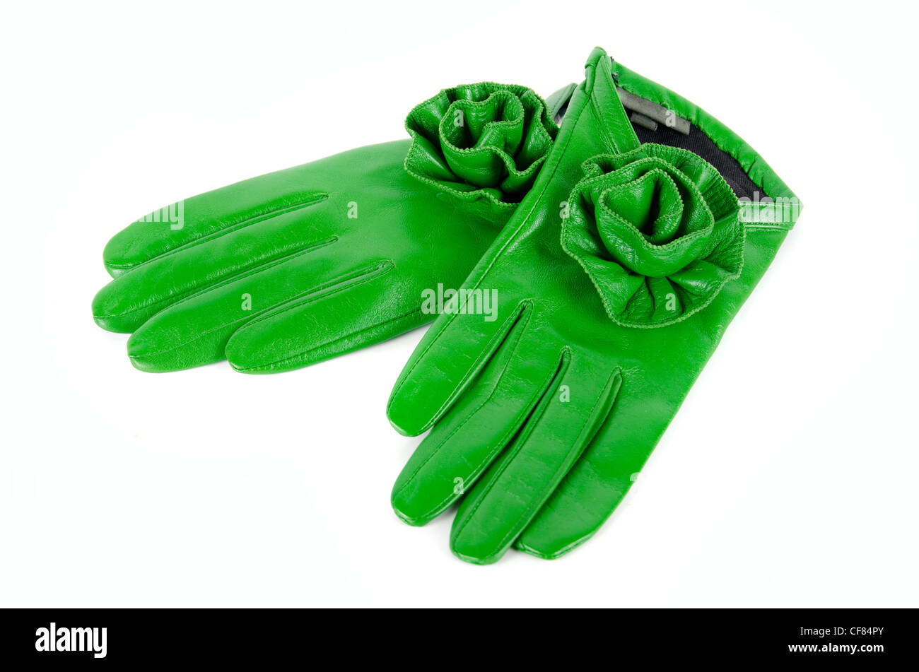 grüne moderne weibliche Leder stieg isoliert auf einem weißen Handschuhe Stockfoto