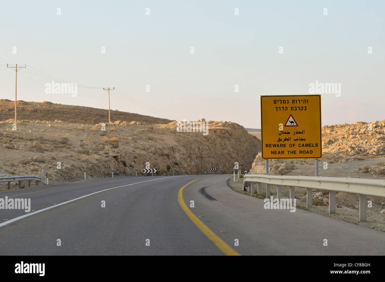 Israel, Negev Wüste Hüten von Kamelen roadsign Stockfoto