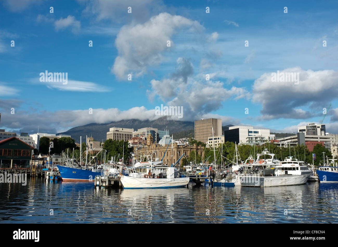 Angelboote/Fischerboote am Franklin Wharf, Mount Wellington in der Ferne, Hobart, Tasmanien Stockfoto