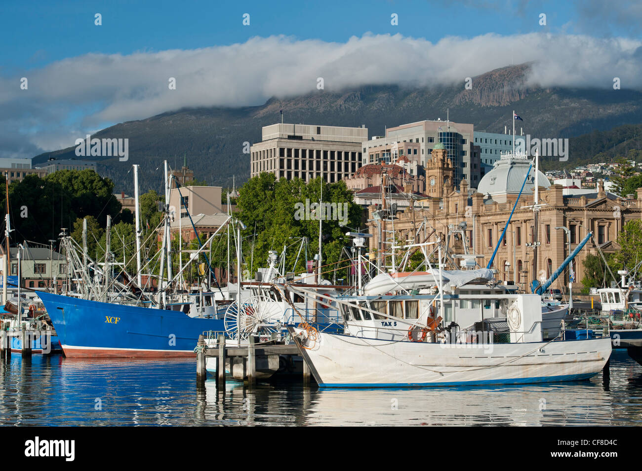 Angelboote/Fischerboote am Franklin Wharf, Mount Wellington in der Ferne, Hobart, Tasmanien Stockfoto