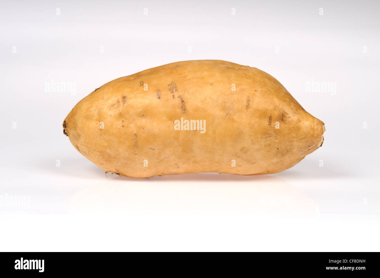 Eine Yam auch bekannt als Süßkartoffel mit Haut auf weißem Hintergrund ausschneiden Stockfoto
