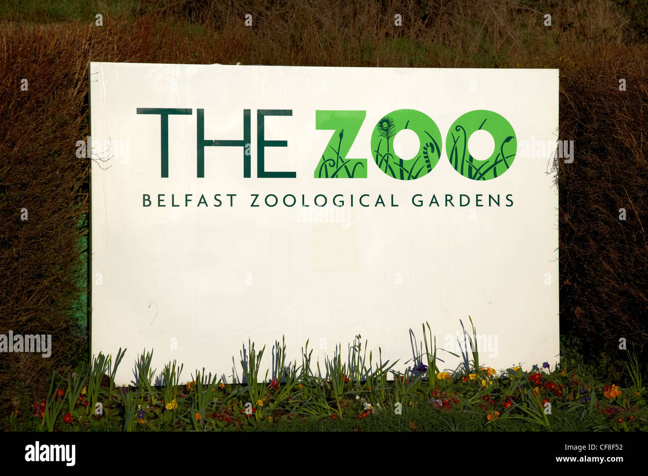 Belfast Zoo Nordirland Vereinigtes Königreich Stockfoto
