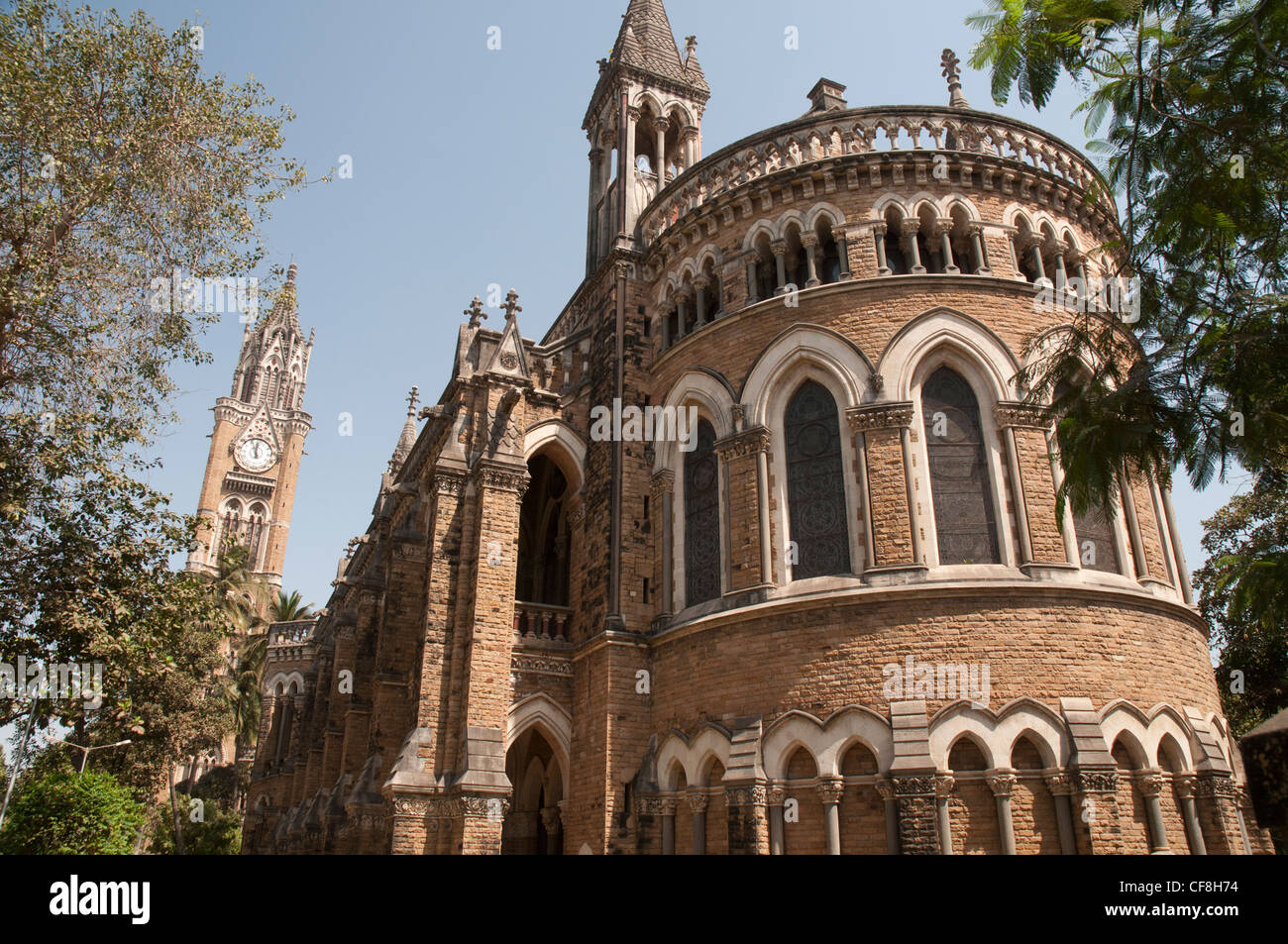 Universität von Mumbai Gebäude, Fort-Bezirk Stockfoto