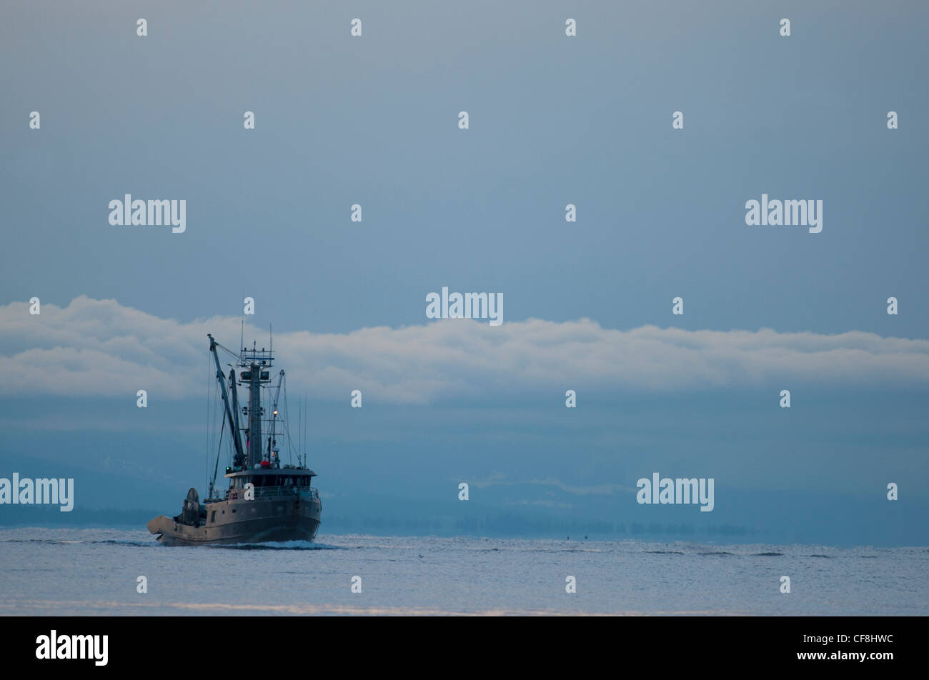 Hering Angelboote/Fischerboote arbeiten Georgia Straight, Vancouver Island. BC Kanada. SCO 8079 Stockfoto