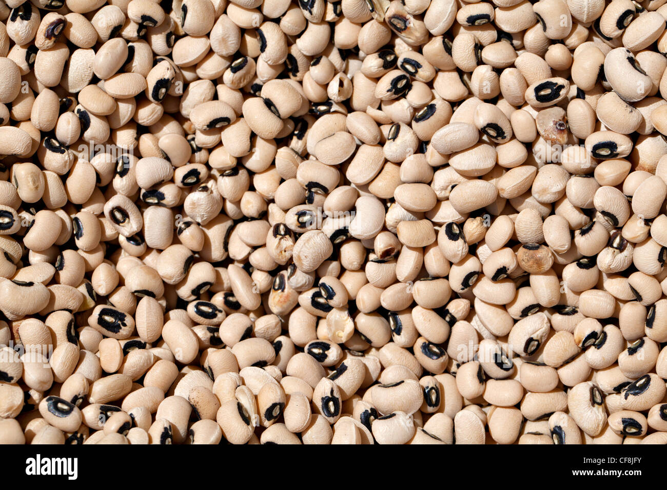 Black Eyed Peas Stockfoto