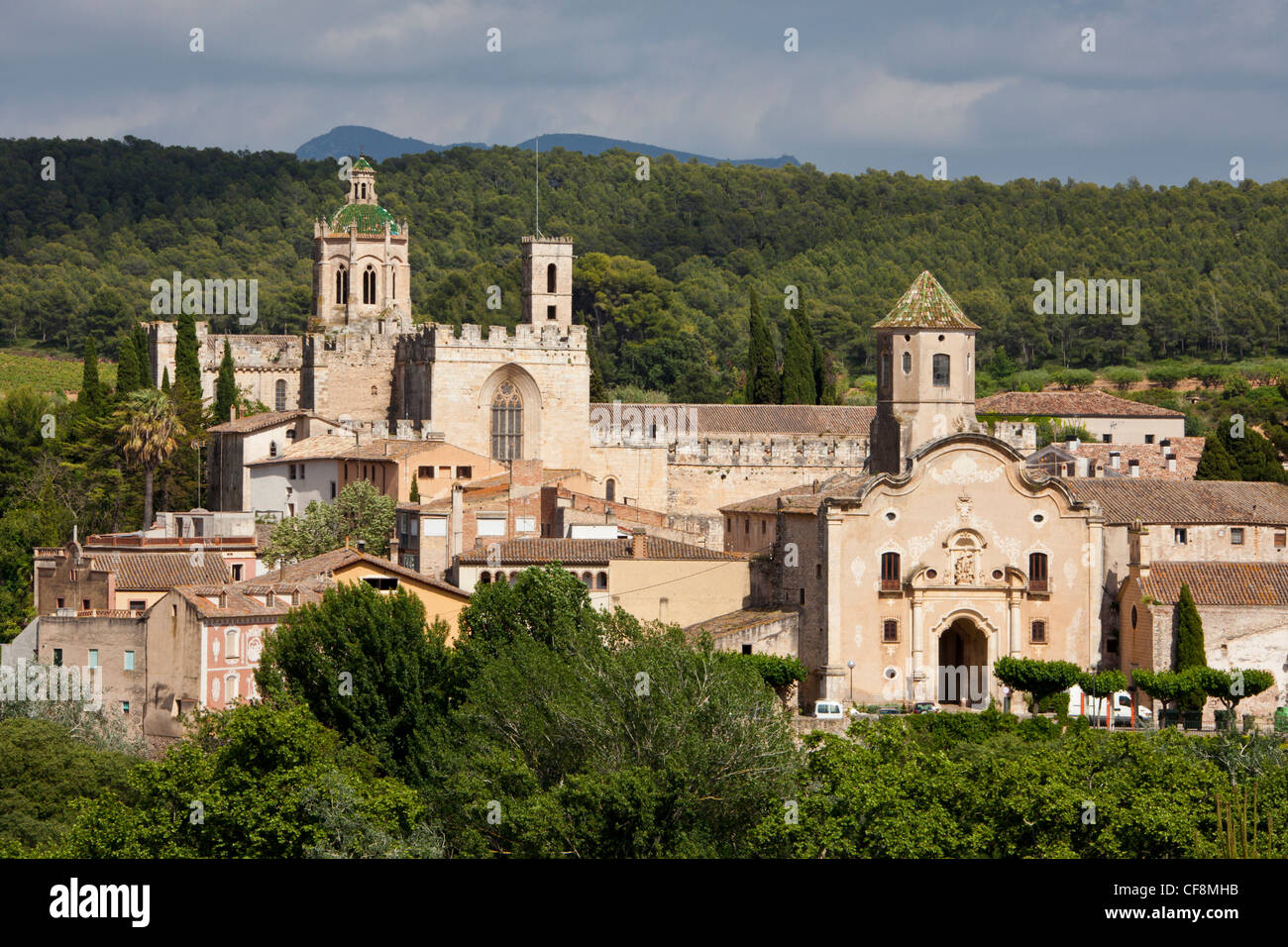 Spanien, Europa, Tarragona, Santes Creus, Klosteranlage, Tor, Kloster, Skyline, Holz Stockfoto