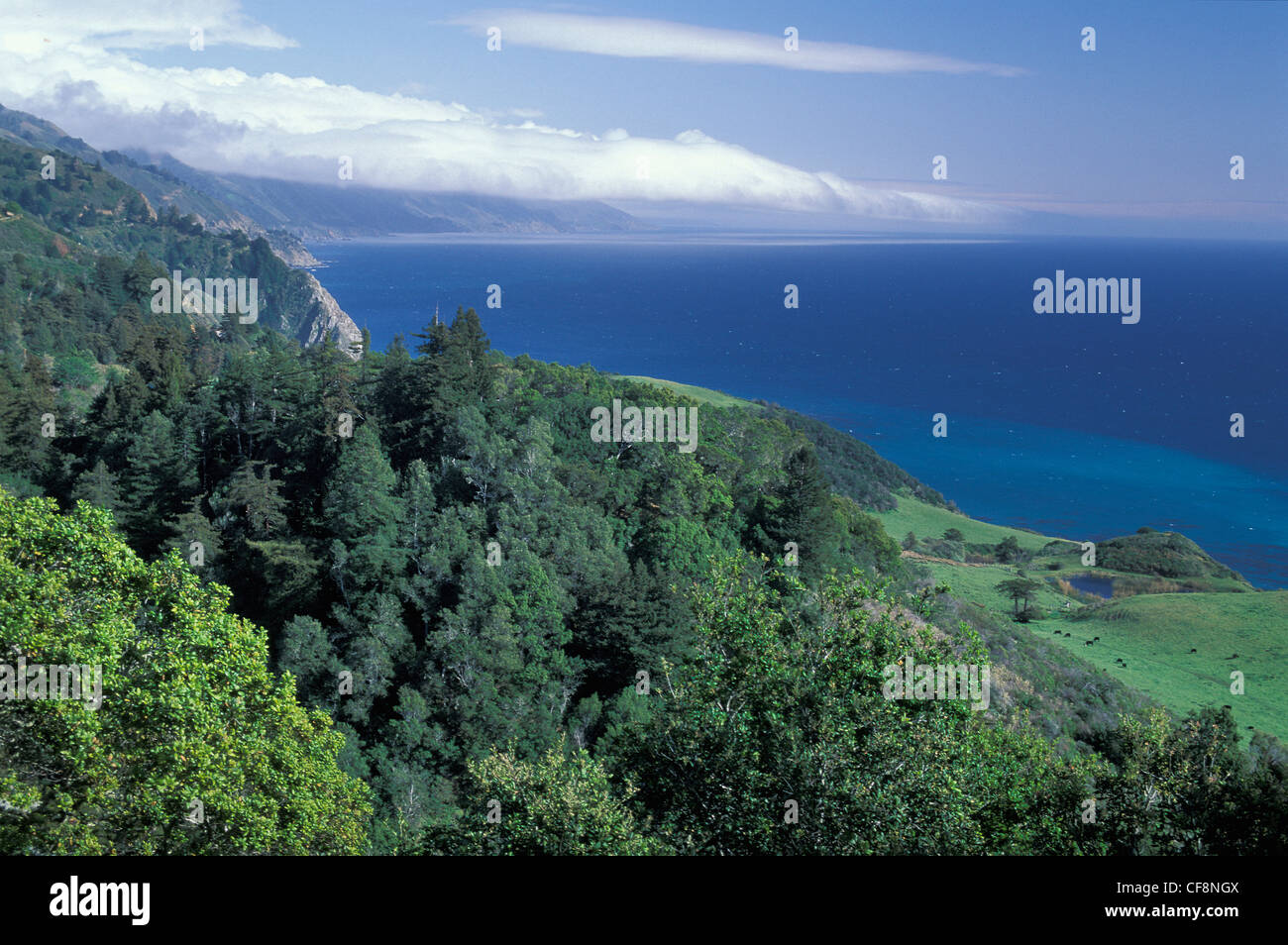 Pazifikküste, Blick vom Nepenthe Restaurant, Autobahn, 1, Big Sur, Kalifornien, USA, Amerika, Stockfoto