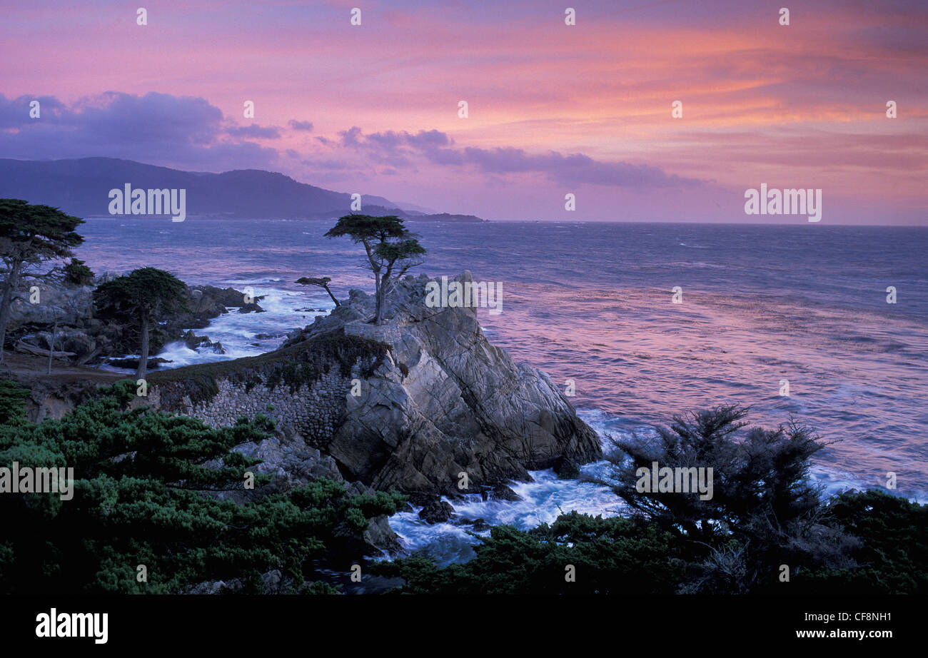 Pazifikküste, Lone Cypress 17 Mile drive, Pebble Beach, Monterey Peninsula, Kalifornien, USA, Amerika, Stockfoto