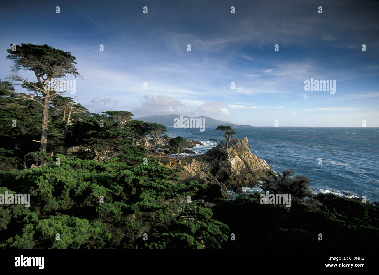 Lone Cypress, 17 Mile Drive, Pebble Beach, Monterey Peninsula, Kalifornien, USA, Amerika, Stockfoto