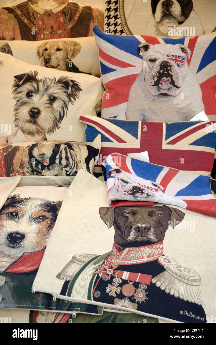 Bilder von verschiedenen britischen Rassen von Hunden auf Kissen Stockfoto