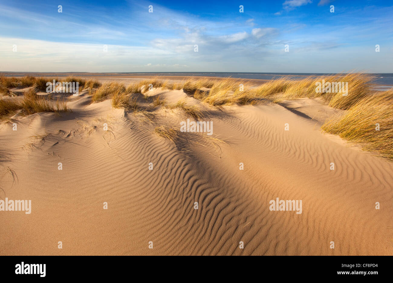 Blakeney Point Sand Muster Norfolk winter Stockfoto