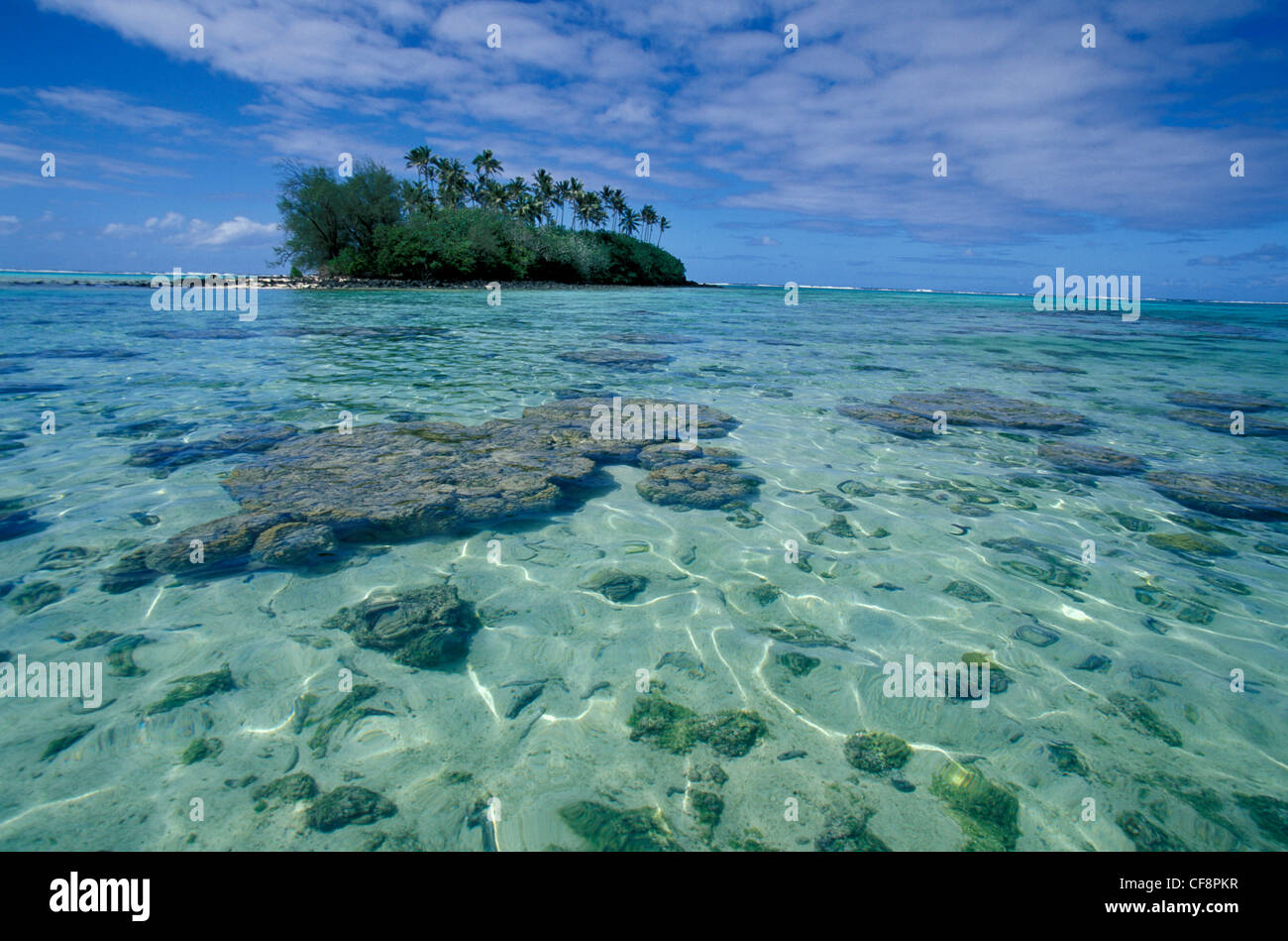 Rarotonga, Cook-Inseln, Pazifik, Meer, Südsee, Ozeanien, Atoll, Paradies, Insel, klares Wasser, Lagune Stockfoto