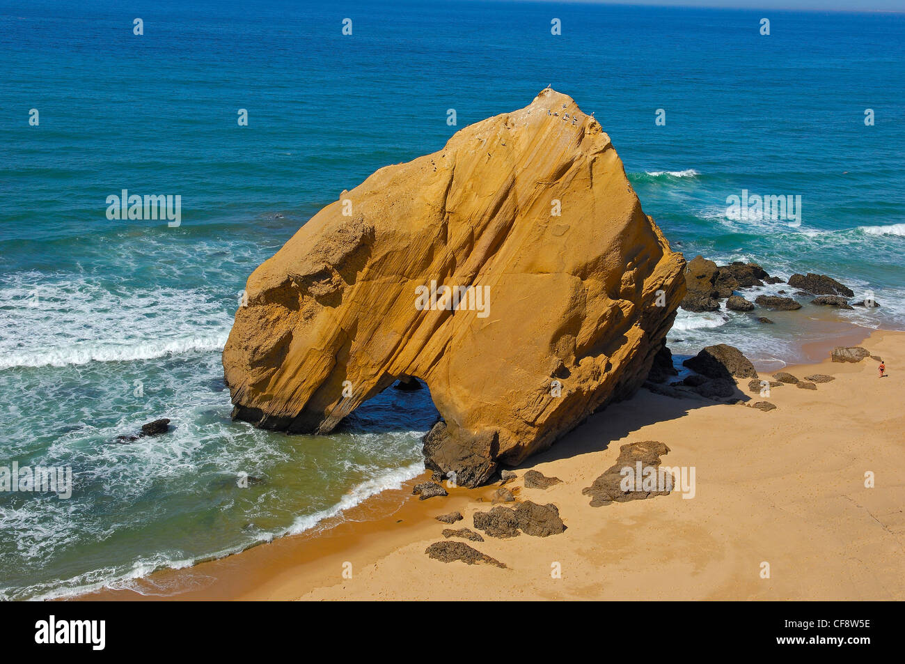 Santacruz, Praia Formosa, Torres Vedras, Portugal, Europa Stockfoto